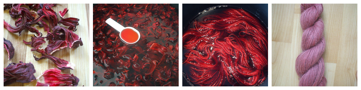 https://allnaturaldyeing.com/wp-content/uploads/2012/09/Hibiscus-dyeing-collage.png