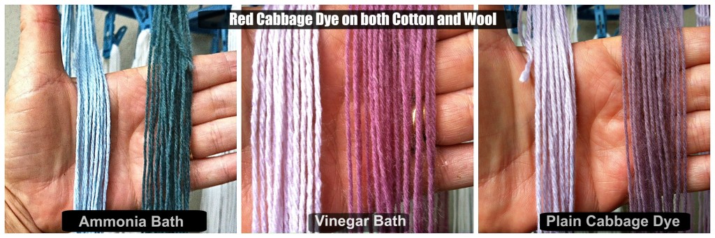 HOW TO MAKE NATURAL DYE WITH RED CABBAGE, ORGANIC COLOR